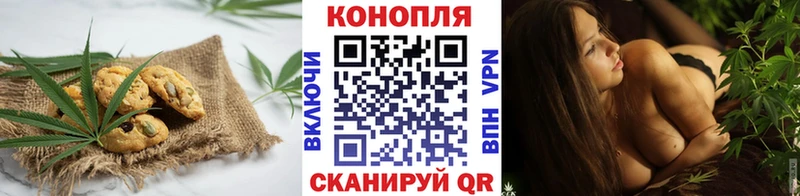 MEGA ONION  Чернушка  Cannafood марихуана 