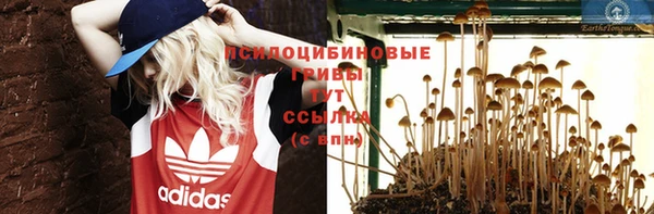 гашишное масло Магас