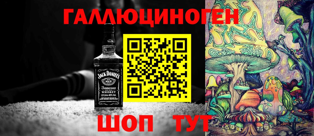 Галлюциногенные грибы прущие грибы  Чернушка 