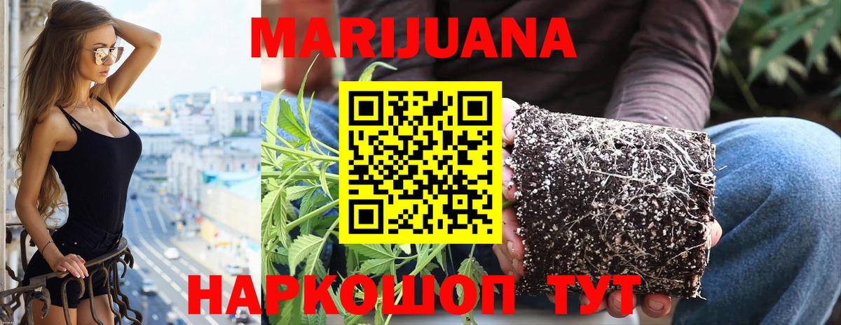 МАРИХУАНА SATIVA & INDICA Чернушка